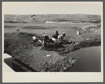 Hauling water for stock near Dickinson, North Dakota.