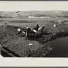 Hauling water for stock near Dickinson, North Dakota.