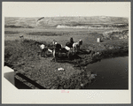 Hauling water for stock near Dickinson, North Dakota.
