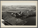 Hauling water for stock near Dickinson, North Dakota.