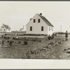 Homesteaders working in garden. Austin Homesteads, Minnesota.