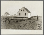 Homesteaders working in garden. Austin Homesteads, Minnesota.