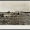 Erosion on farmland. Land under option to Resettlement Administration. Near Farmville, Virginia.