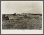 Erosion on farmland. Land under option to Resettlement Administration. Near Farmville, Virginia.