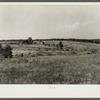 Erosion on farmland. Land under option to Resettlement Administration. Near Farmville, Virginia.