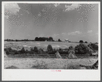 Erosion beginning to destroy farmland near Farmville, Virginia.