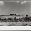 Erosion beginning to destroy farmland near Farmville, Virginia.