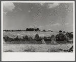 Erosion beginning to destroy farmland near Farmville, Virginia.