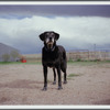 Merlyn I, Otis, CO