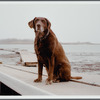 Moxie, Winthrop, MA