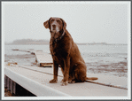 Moxie, Winthrop, MA