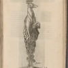 Print illustrating Du chien