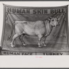 Rutland Vermont. Poster advertising a sideshow at the Vermont State Fair.