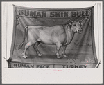 Rutland Vermont. Poster advertising a sideshow at the Vermont State Fair.