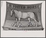 Poster advertising sideshow at the Rutland Fair, Rutland, Vermont.