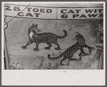Poster advertising sideshow at the Rutland Fair, Rutland, Vermont.