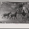 Poster advertising sideshow at the Rutland Fair, Rutland, Vermont.