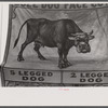 Poster advertising sideshow at the Rutland Fair, Rutland, Vermont.
