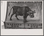 Poster advertising sideshow at the Rutland Fair, Rutland, Vermont.