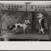 Rutland, Vermont. Poster advertising a sideshow at the Vermont State Fair.