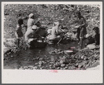Washing clothes in the river near the slum area known as "El Machuelitto" in Ponce, Puerto Rico.
