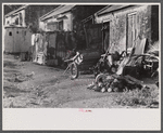 In one of the slum "villages" in the northeast corner of the island. St. Croix, Virgin Islands.