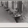 Charlotte Amalie, St. Thomas Island, Virgin Islands. Vegetable vendor along a side street near the waterfront.