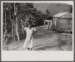 Farmer's wife carrying brushwood to her home in the hills near Yauco, Puerto Rico.