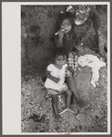 Farm laborer's children eating sugar cane in the hills near Yauco, Puerto Rico.