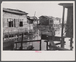 Houses in the slum area known as "El Fangitto" (The Mud) in San Juan, Puerto Rico.