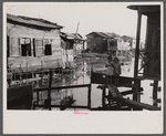 Houses in the slum area known as "El Fangitto" (The Mud) in San Juan, Puerto Rico.