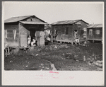 Houses in the slum area known as "El Fangitto" (The Mud) in San Juan, Puerto Rico.