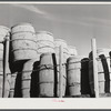 In Aroostock, the farmer speaks of his potatoes in terms of barrels rather than bushels or sacks. Truckload of barrels near Washburn, Maine.