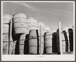 In Aroostock, the farmer speaks of his potatoes in terms of barrels rather than bushels or sacks. Truckload of barrels near Washburn, Maine.