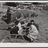 Women wait while their husbands bid at the auction of the farm of Mr. Anthony Yacek. Near Derby, Connecticut.