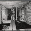 Hoisting potatoes to be dumped into a storage bin at the farm of the Woodman Potato Company. Eleven miles north of Caribou, Maine.