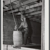Hoisting potatoes to be dumped into a storage bin at the farm of Woodman Potato Company. Eleven miles north of Caribou, Maine.