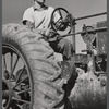 Tractor driver on a potato farm near Caribou, Maine