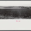 Aroostook farm landscape. In the foreground is a potato field ready to be harvested. Near Caribou, Maine.