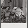 Junk and refuse constitute a hazard on the farm of Theodore German. North Branford Connecticut.