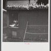 Pigeons raised by Mr. Edward J. Warner, who is a part time carpenter. North Haven, Connecticut.