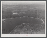 Potato seed foundation farm (left center) showing isolation from other potato fields (in background). See general caption on Aroostook County, caption number one.