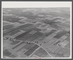 Potato farms along U.S. 1. Near Caribou, Maine.