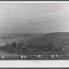 A potato field just outside of Van Buren, Maine.