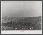 A potato field just outside of Van Buren, Maine.