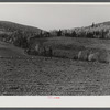 Isolated see foundation unit of Mr. Lawrence J. Brown, FSA (Farm Security Administration) client and potato farmer in Eagle Lake, Maine.
