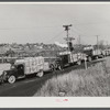 Trucks outside a starch factory in Caribou, Maine. Some of them have been waiting in line for over twenty-four hours for their turn to have their potatoes weighed and graded.