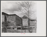 Hurricane timber. Ledyard, Connecticut.