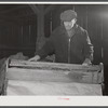 Mr. Oliver Barber, wrapping tobacco in the tobacco press after the stripping operation in his barn. Mr. Barber is a small tobacco farmer near Windsorville, Connecticut.