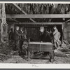 General view of stripping and wrapping operations in the tobacco barn of Mr. Robert J. Hawthorne, a tobacco farmer near Hazardville, Connecticut.